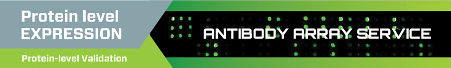 RayBio Antibody Array in Malaysia