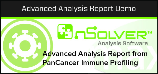 nSolver Advanced Analysis HTML report