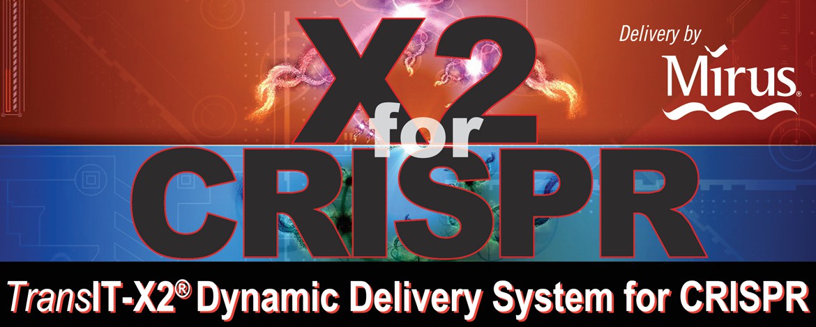 TransIT-X2® Dynamic Delivery System